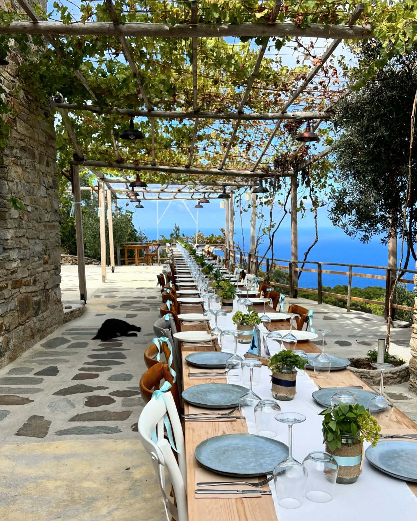 The communal dining table at the Ikaria retreat estate &mdash; a long wooden table set for shared meals, where the cohort gathers each evening.